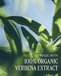 La Lotion Verbena Moisturizing Hand Lotion