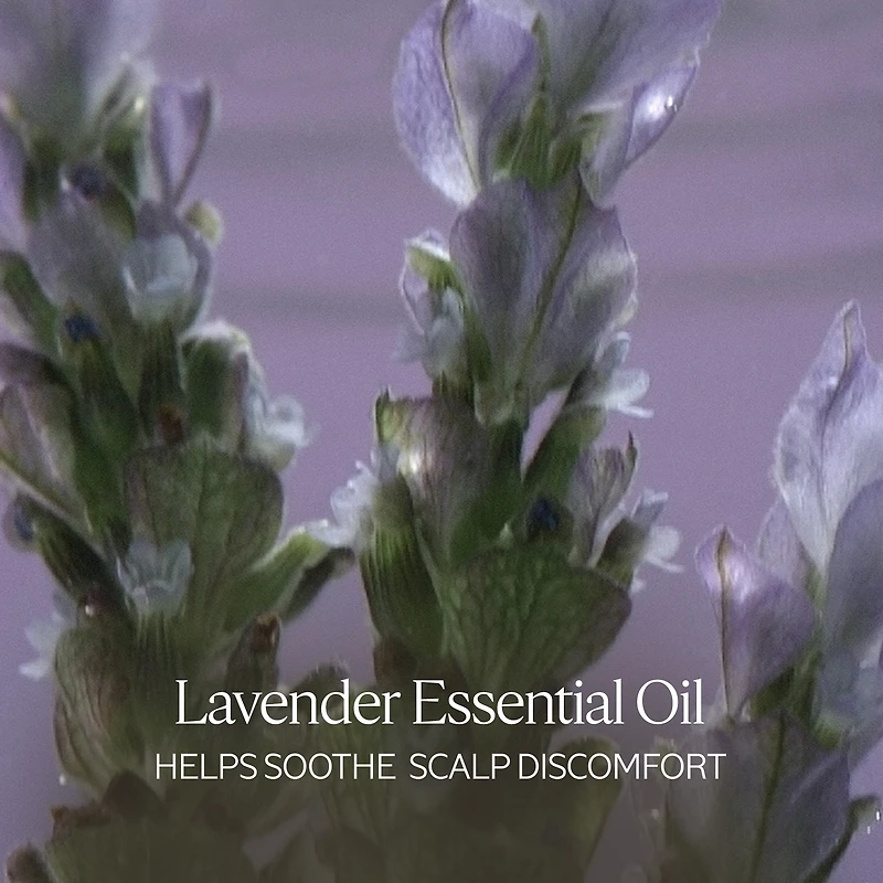 Gentle & Balance Conditioner