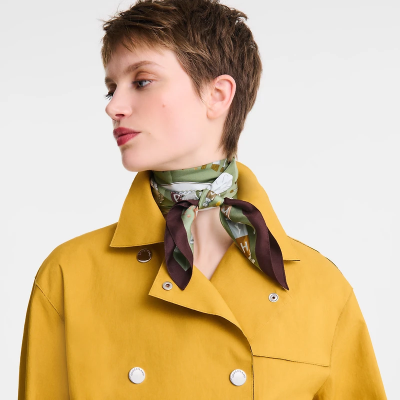 Palette d'Artiste Silk scarf 70