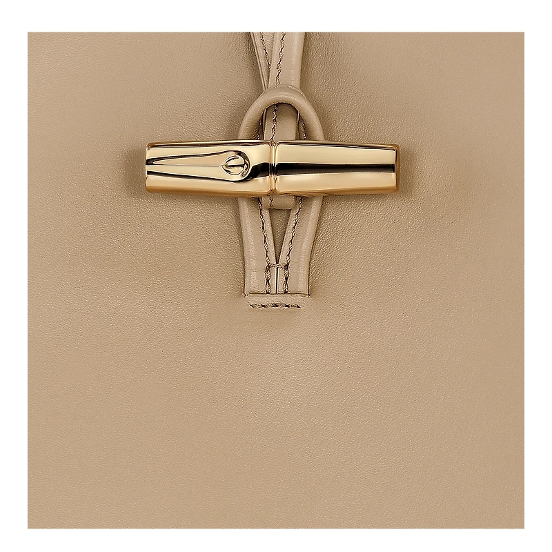 Le Roseau M Hobo bag
