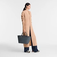 Le Pliage Green M Handbag