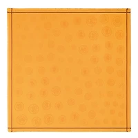 La Médaille Longchamp Shawl