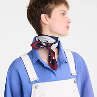 Palette d'Artiste Silk scarf 70