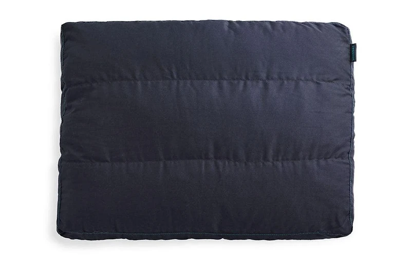 Sactionals Deep Back Pillow Insert: Lovesoft