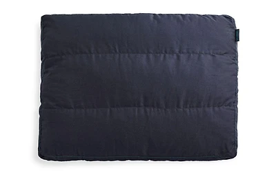 Sactionals Deep Back Pillow Insert: Lovesoft