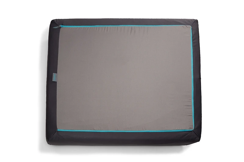 Sactionals Insert Protector: Seat Cushion