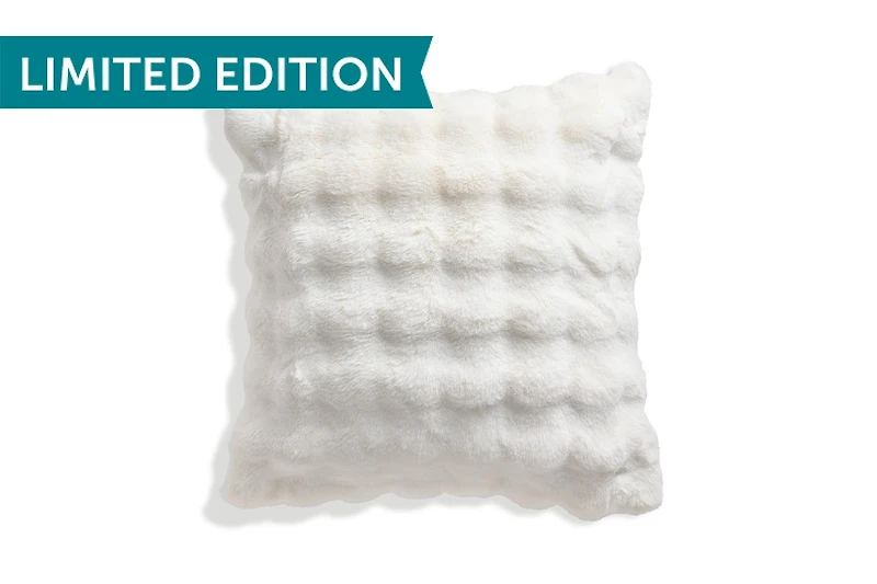 24x24 Throw Pillow Cover: Snow Sculpted Phur