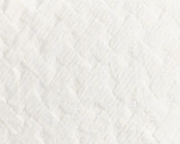 SuperSac Bundle: Squattoman