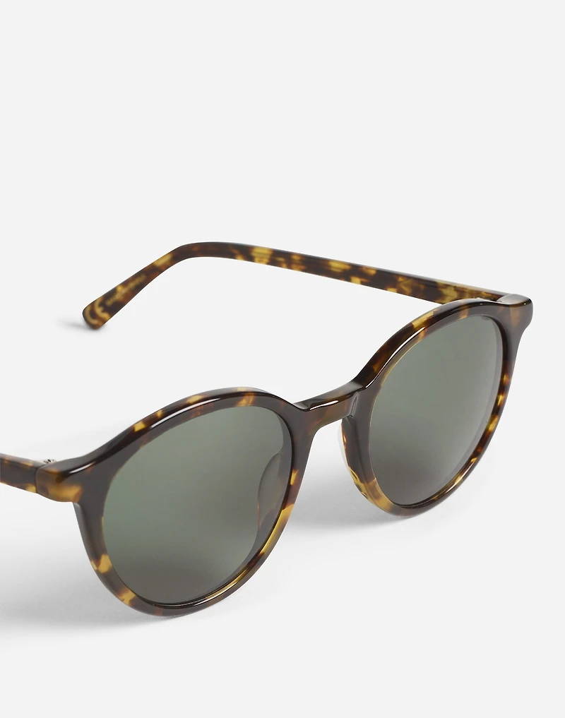 Layton Sunglasses | Madewell