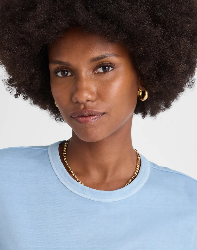 The Perfect Crewneck Tee Allday Jersey | Madewell