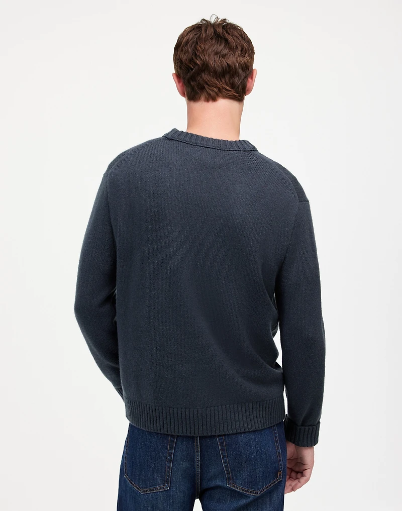 Crewneck Sweater SoftWool | Madewell