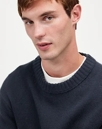 Crewneck Sweater SoftWool | Madewell