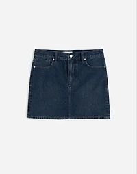 Denim Mini Skirt Hodgeman Wash | Madewell