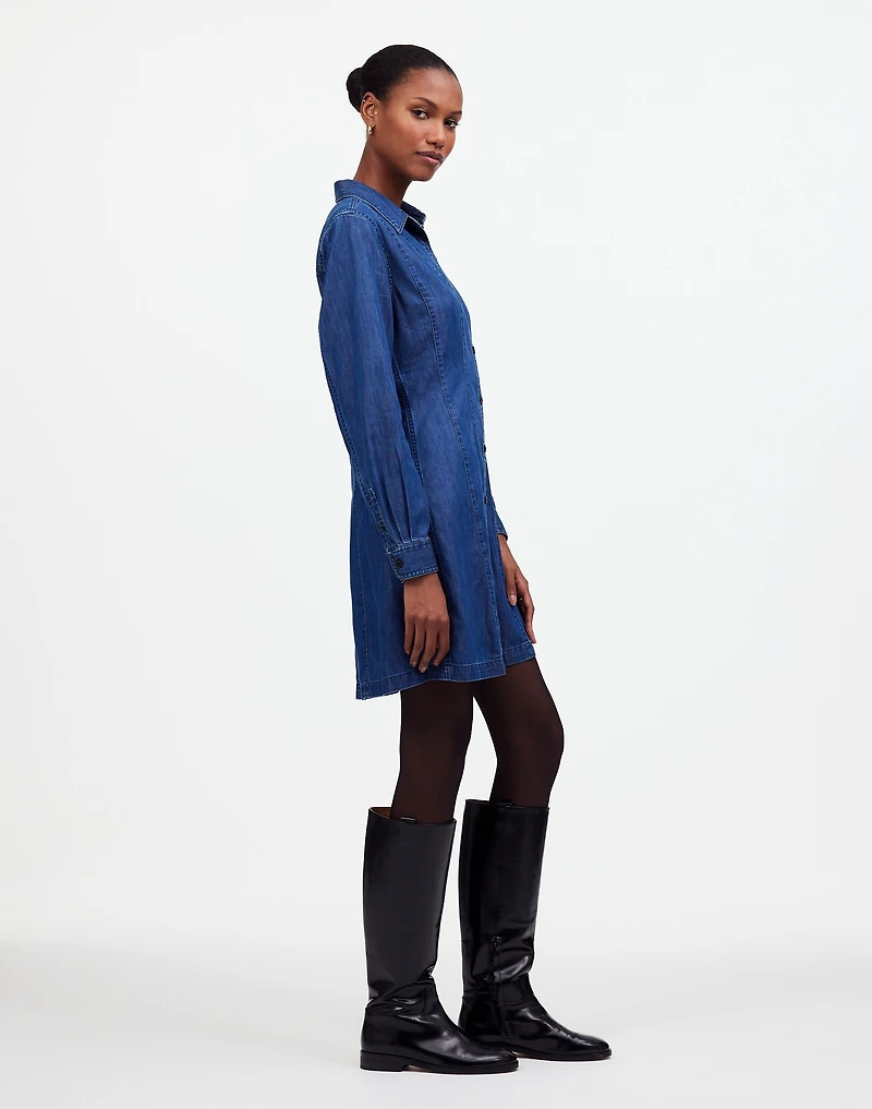 Denim Seamed Mini Dress in Clearfield Wash | Madewell
