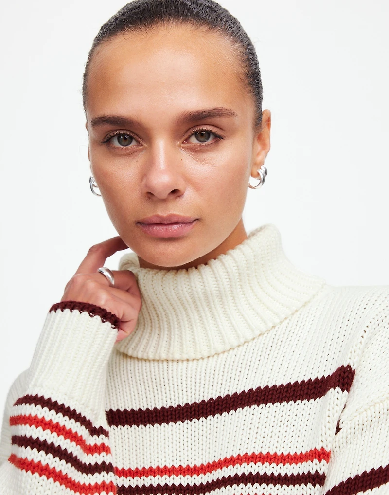 Ribbed Cotton Turtleneck Sweater Stripe | Madewell