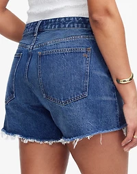 The Curvy Brynn Long Short in Polacheck Wash | Madewell