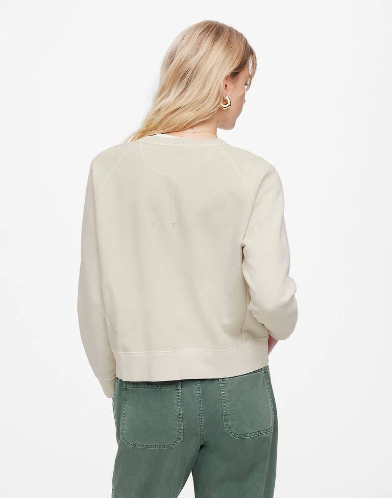 Garment-Dyed Crewneck Sweatshirt | Madewell