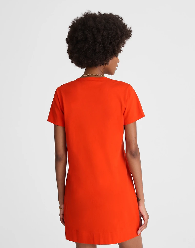 Mini Tee Dress | Madewell