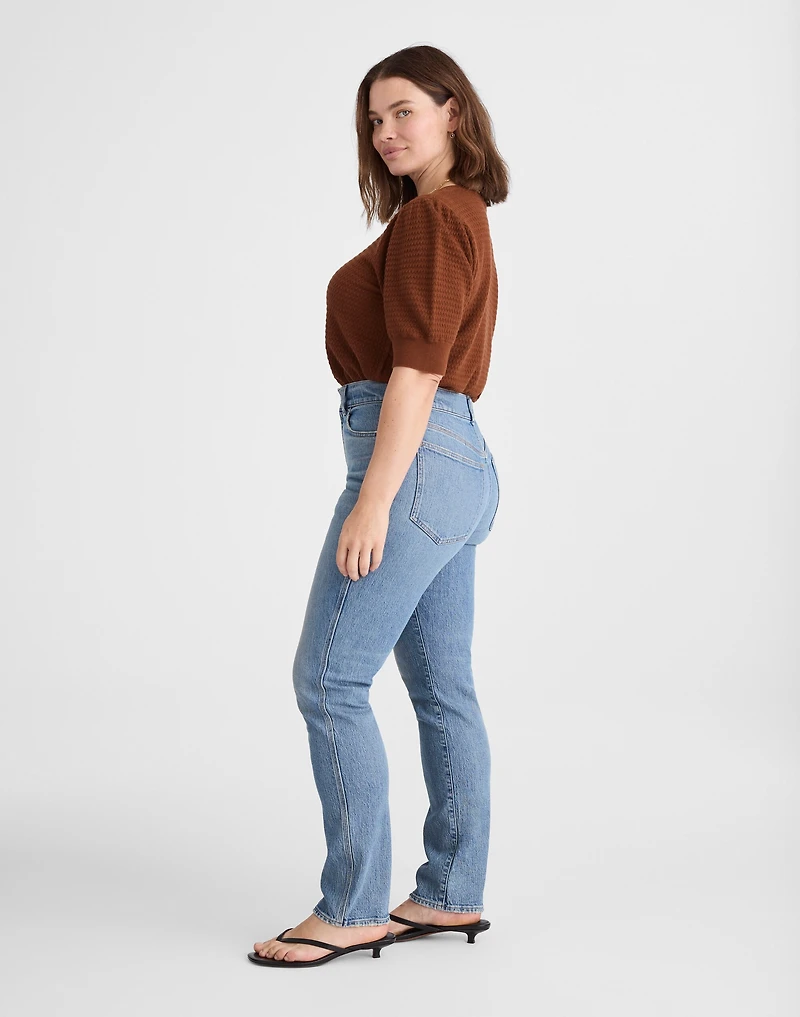 The Plus Perfect Vintage Jean | Madewell