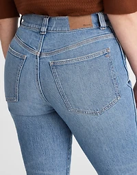 The Plus Perfect Vintage Jean | Madewell
