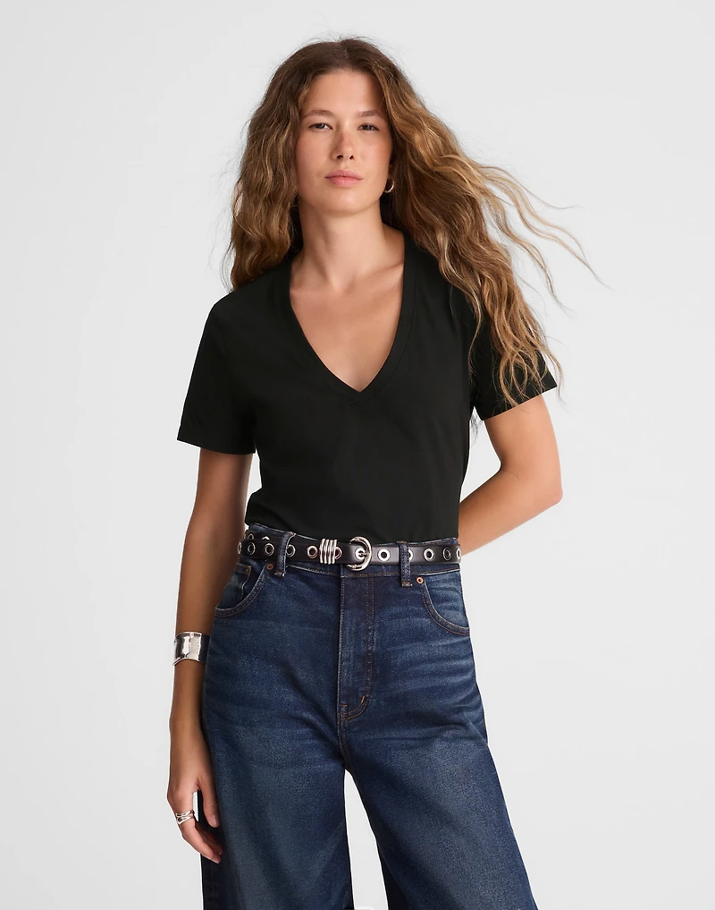 The Perfect V-Neck Tee Allday Jersey | Madewell