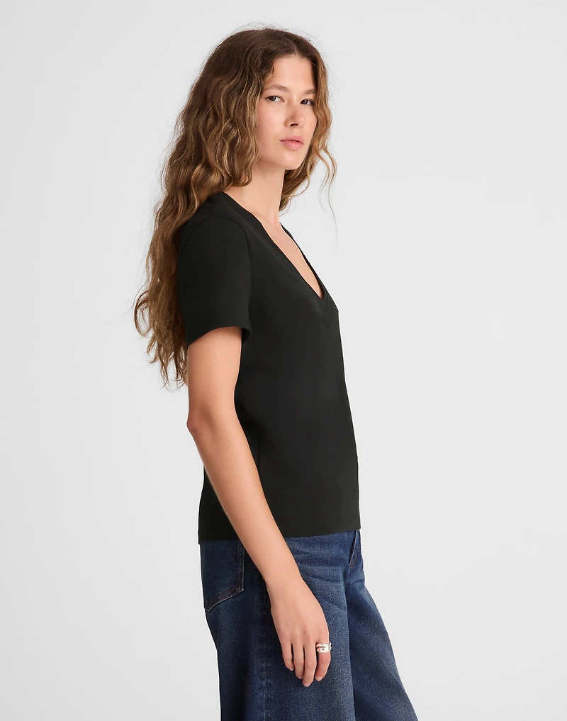The Perfect V-Neck Tee Allday Jersey | Madewell
