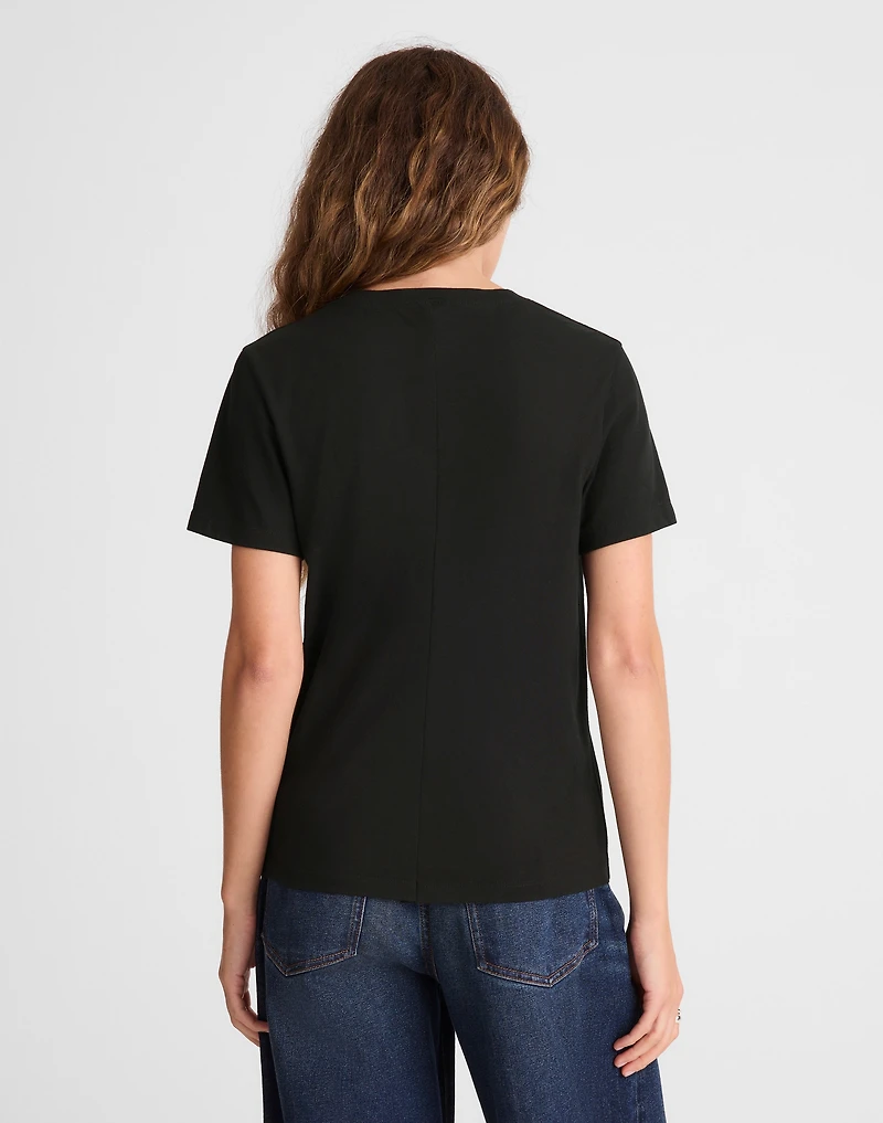 The Perfect V-Neck Tee Allday Jersey | Madewell