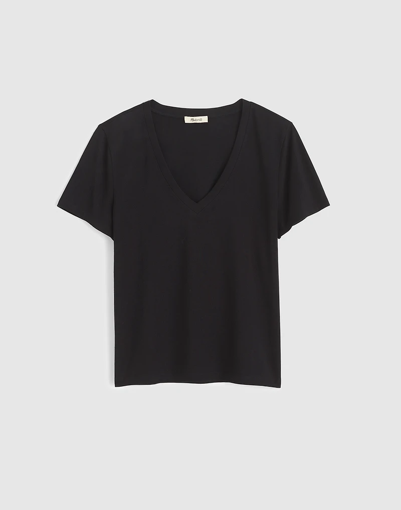 The Perfect V-Neck Tee Allday Jersey | Madewell
