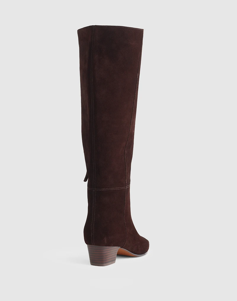 The Lexie Tall Boot with Extended Calf in Suede | Madewell
