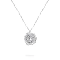 Zodiac Aquarius Pendant in Sterling Silver