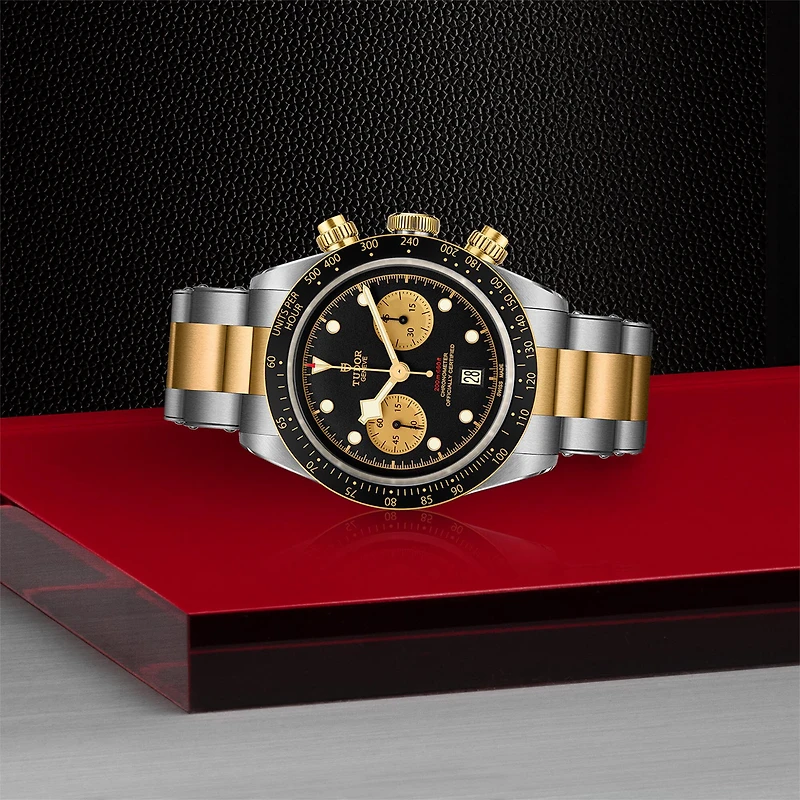 Black Bay Chrono Automatic Chronograph 41 mm Yellow Gold and Stainless Steel