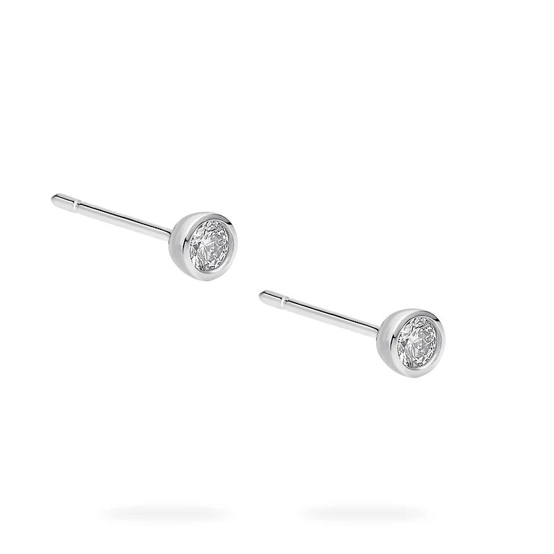 Sterling Silver and Diamond Earrings