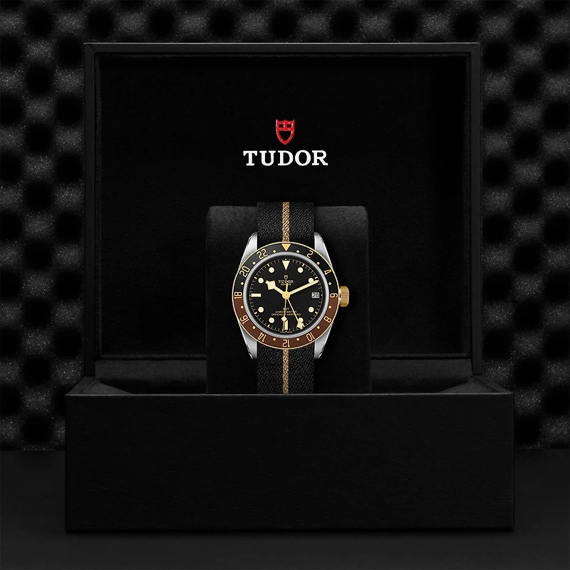 Black Bay GMT Automatic 41 mm Stainless Steel