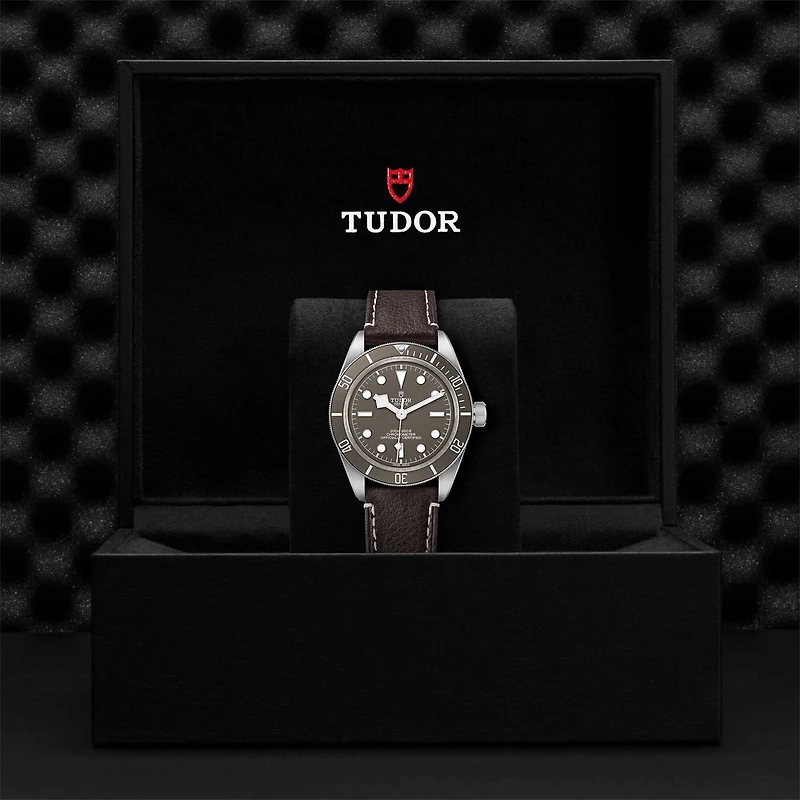 Black Bay 58 925 Automatic 39 mm Silver
