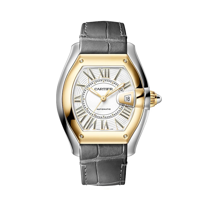 Roadster Large Automatic 47 X 39 mm Yellow Gold and Stainless Steel