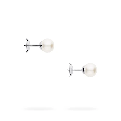 Freshwater Pearl Earrings