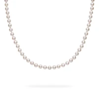 8-8.5 mm AA Akoya Necklace