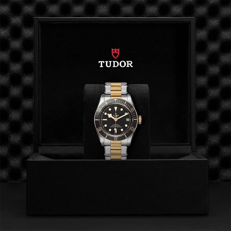 Black Bay Automatic 41 mm Yellow Gold and Stainless Steel