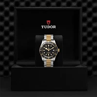 Black Bay Automatic 41 mm Yellow Gold and Stainless Steel