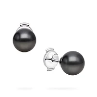 10-10.5 mm Tahitian Pearl Earrings in White Gold