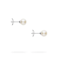 Freshwater Pearl Earrings