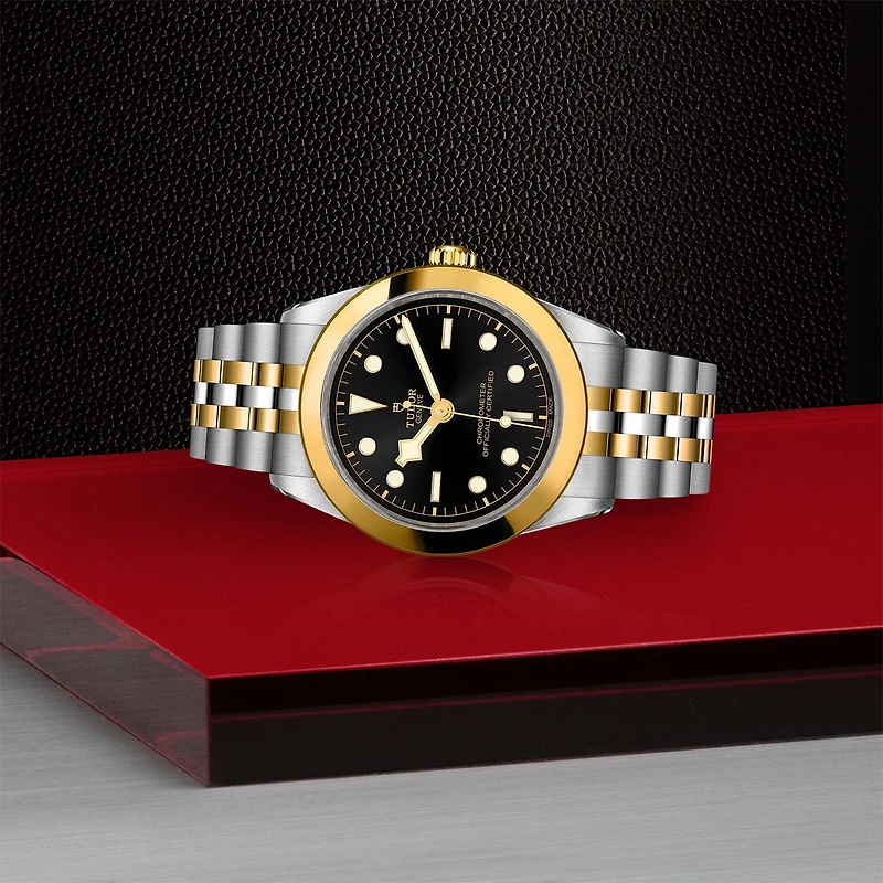 Black Bay One Automatic 39 mm Yellow Gold and Stainless Steel