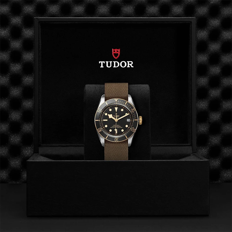 Black Bay Automatic 41 mm Stainless Steel