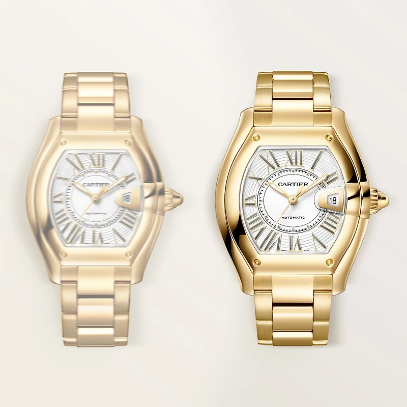 Roadster Large Automatic 47 X 39 mm Yellow Gold