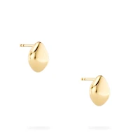 Yellow Gold Stud Earrings