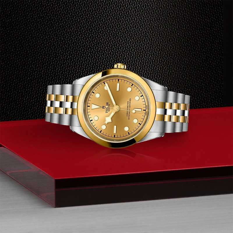 Black Bay One Automatic 41 mm Yellow Gold and Stainless Steel