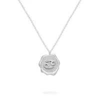 Zodiac Capricorn Pendant in Sterling Silver