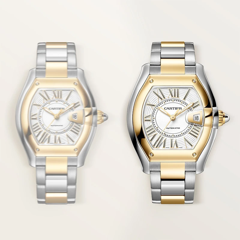 Roadster Large Automatic 47 X 39 mm Yellow Gold and Stainless Steel