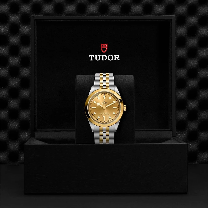 Black Bay One Automatic 41 mm Yellow Gold and Stainless Steel