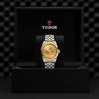 Black Bay One Automatic 41 mm Yellow Gold and Stainless Steel